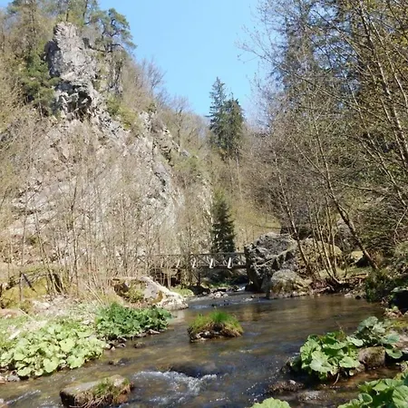 Frankenwald Chalets - #a43707 Wilhelmsthal
